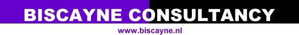 Biscayne Consultancy